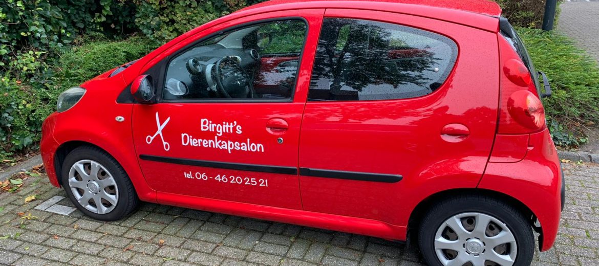 Autobelettering Peugeot 107, Lelystad