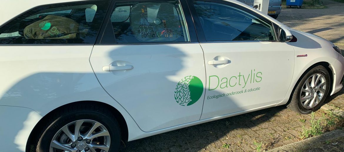 Autobelettering Toyota Auris, Utrecht
